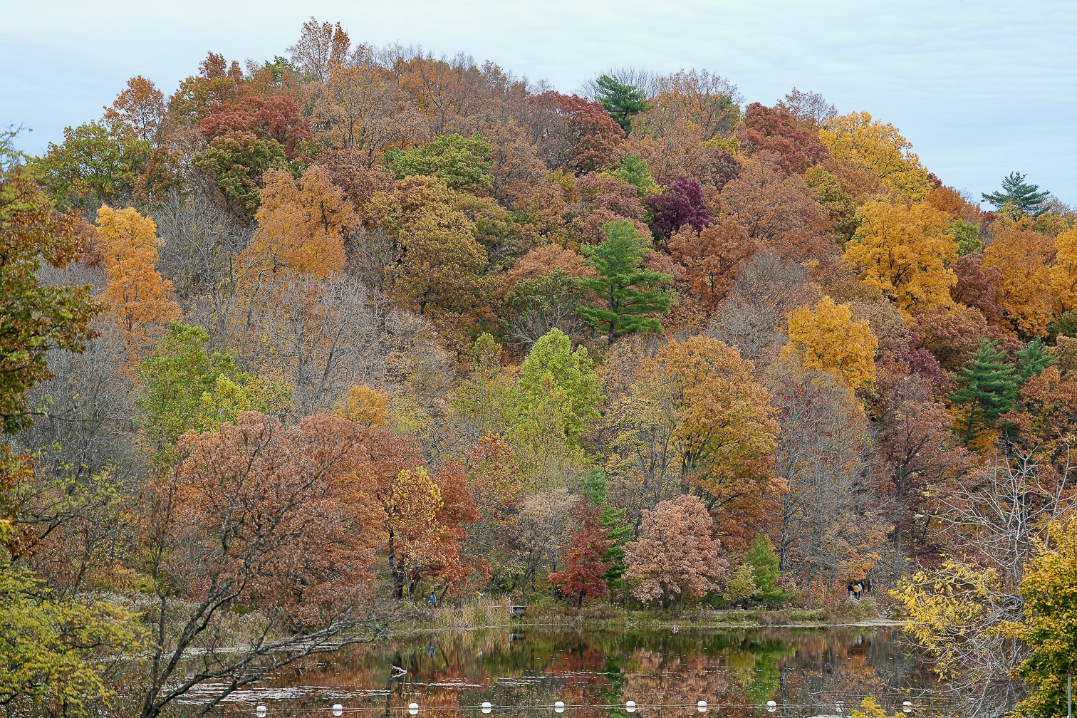 Brilliant Fall